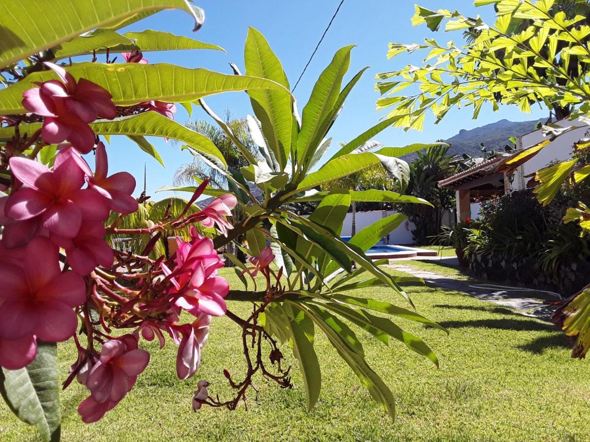 La Finca III ブレーニャ・バハ エクステリア 写真